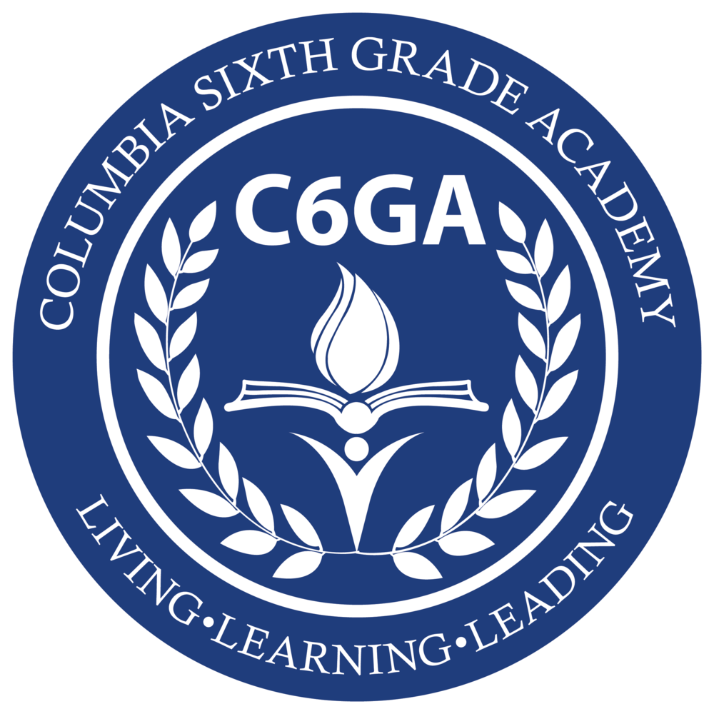 C6 logo